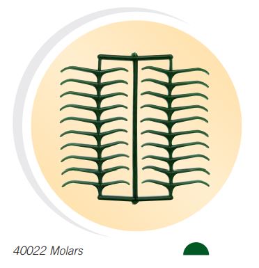 WAX PATTERNS MOLAR CLASPS /200