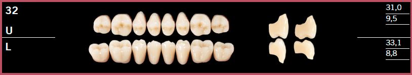32U-A2 DELARA TEETH UPPER POSTERIOR