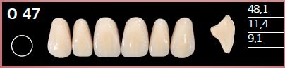 O47-A2 DELARA TEETH UPPER ANTERIOR