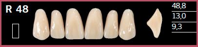 R48-A2 DELARA TEETH UPPER ANTERIOR