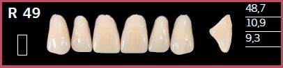 R49-D2 DELARA TEETH UPPER ANTERIOR
