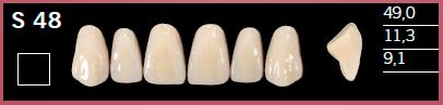 S48-BL3 DELARA TEETH UPPER ANTERIOR