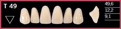 T49-C3 DELARA TEETH UPPER ANTERIOR