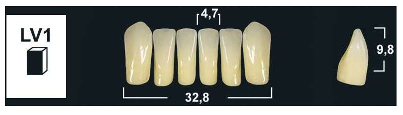 LV1 BL3 LOWER ANTERIOR TRIBOS TEETH