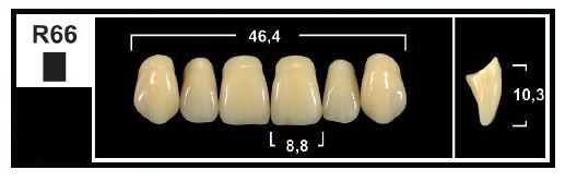 R66 BL3 UPPER ANTERIOR TRIBOS TEETH
