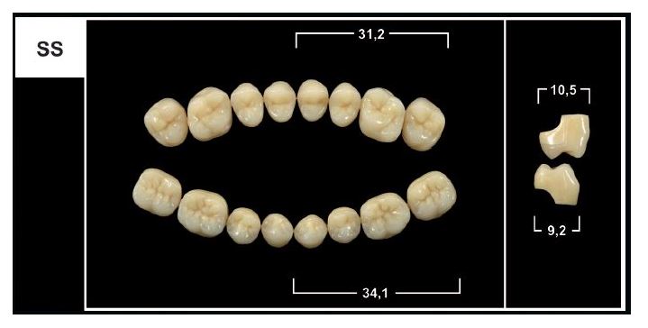 SS BL3 LOWER POSTERIOR TRIBOS TEETH