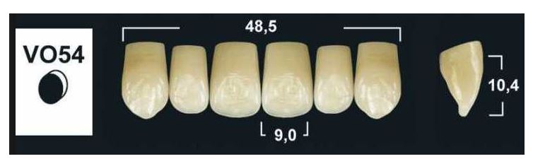 VO54 BL3 UPPER ANTERIOR TRIBOS TEETH