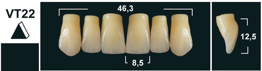 VT22 BL3 UPPER ANTERIOR TRIBOS TEETH