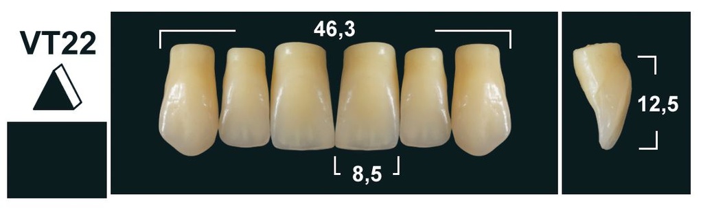 VT22 D3 UPPER ANTERIOR TRIBOS TEETH