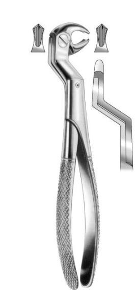 EXTRACTION FORCEPS LOW 3RDMOLARS 22 RIGHT