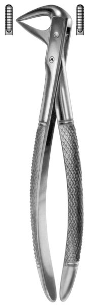 EXTRACTION FORCEPS LOWER ROOTS 74