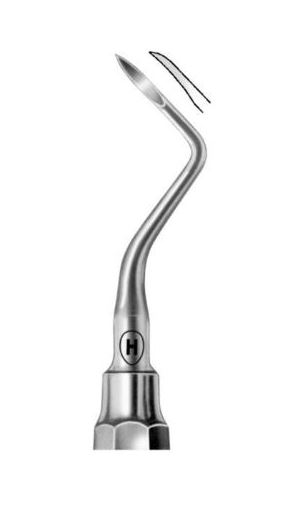 ROOT TIP PICK HEIDBRINK 3