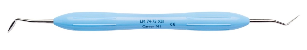 CARVER IPC NYSTROM I