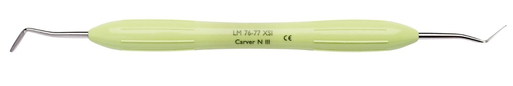 CARVER IPCOA NYSTROM III