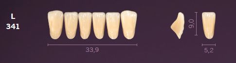 L341-D2 MONDIAL TEETH LOWER ANTERIOR