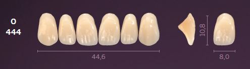 O444-A4 MONDIAL TEETH UPPER ANTERIOR