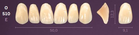 O510-B1 MONDIAL TEETH UPPER ANTERIOR