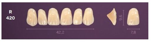 R420-BL2 MONDIAL TEETH UPPER ANTERIOR
