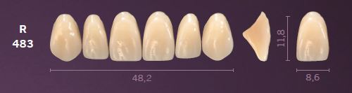 R483-A2 MONDIAL TEETH UPPER ANTERIOR