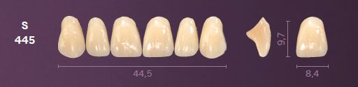 S445-B2 MONDIAL TEETH UPPER ANTERIOR