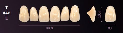 T442-C1 MONDIAL TEETH UPPER ANTERIOR