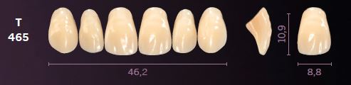 T465-C4 MONDIAL TEETH UPPER ANTERIOR