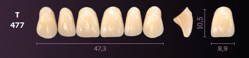 T477-A2 MONDIAL TEETH UPPER ANTERIOR
