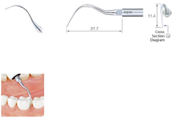 NSK ULTRASONIC PERIO TIP P21R-E FOR EMS