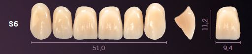 S6-D2 PREMIUM TEETH UPPER ANTERIOR