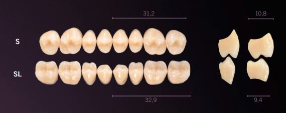 S-D4U PREMIUM TEETH UPPER POSTERIOR