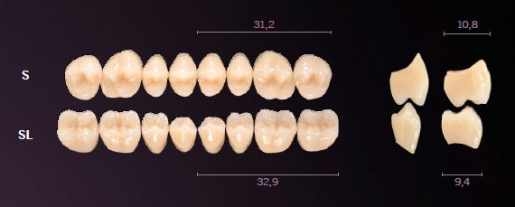 SL-D3L PREMIUM TEETH LOWER POSTERIOR