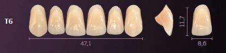 T6-C3 PREMIUM TEETH UPPER ANTERIOR