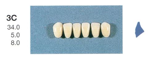 3C-B3L ANTERIOR SENATOR TEETH