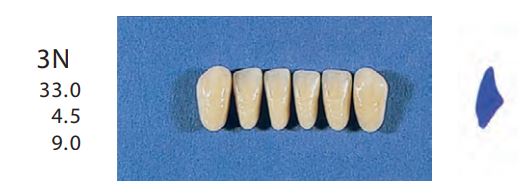 3N-B4L ANTERIOR SENATOR TEETH