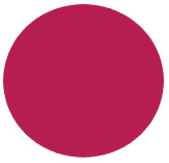 M/GUARD RD 4MM BURGUNDY 120MM