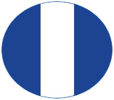 M/GUARD RD 4MM DKBLUE/WHITE 3 STRIPE 120MM