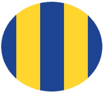 M/GUARD RD 4MM DK BLUE/YEL MULTI 120MM