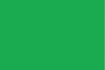 M/GUARD SQ 4MM FLUOR SIGNAL GREEN 127MM