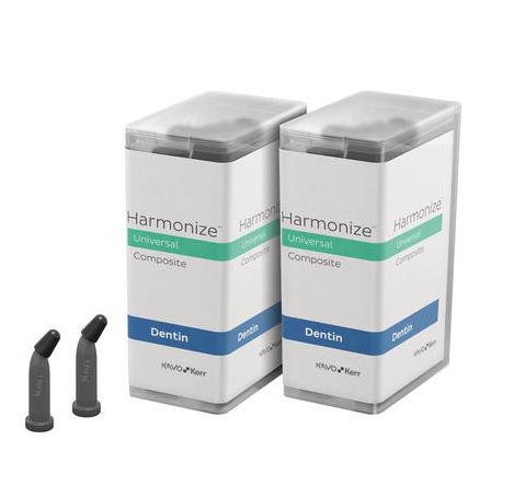 HARMONIZE ENAMEL C4 UNIDOSE /10