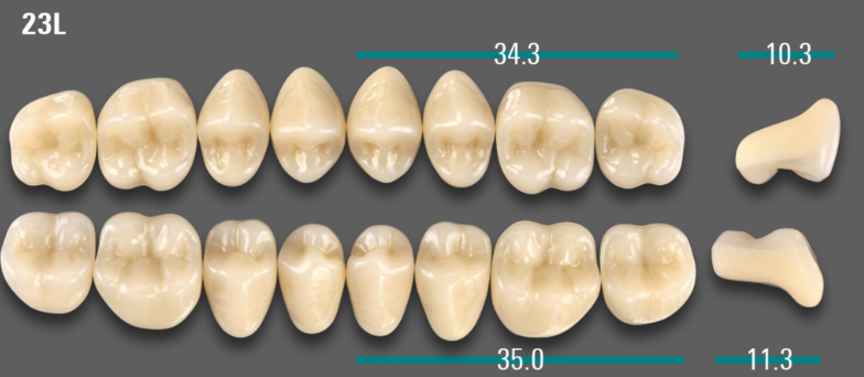 VITA VIONIC VIGO Posterior, 0M1, 23L UK