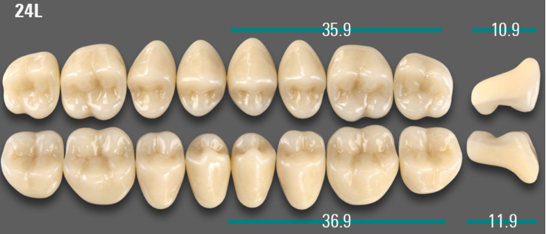 VITA VIONIC VIGO Posterior, A1, 24L OK
