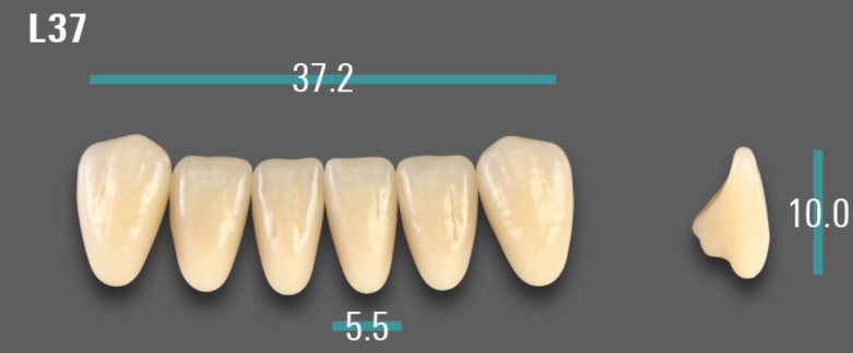 VITA VIONIC VIGO Anterior, A1, L37