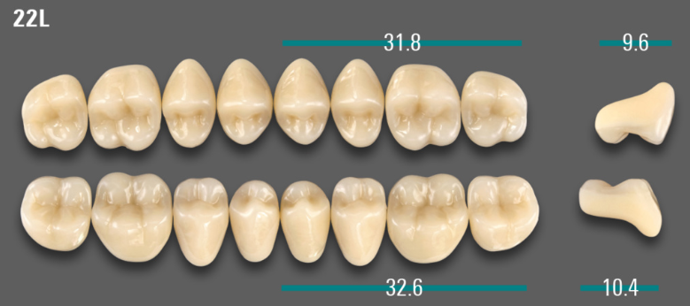 VITA VIONIC VIGO Posterior, A2, 22L OK