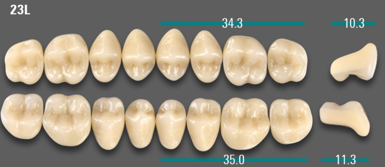 VITA VIONIC VIGO Posterior, A2, 23L OK