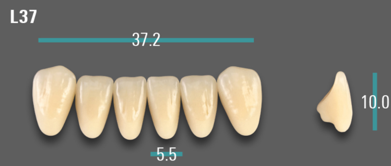 VITA VIONIC VIGO Anterior, A2, L37