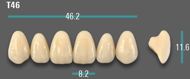 VITA VIONIC VIGO Anterior, A2, T46