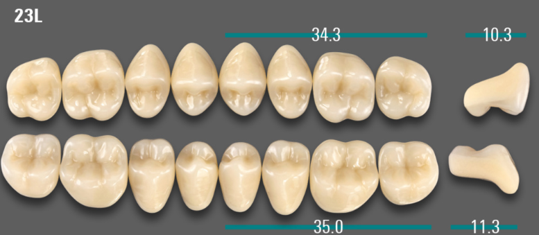 VITA VIONIC VIGO Posterior, A3.5, 23L UK