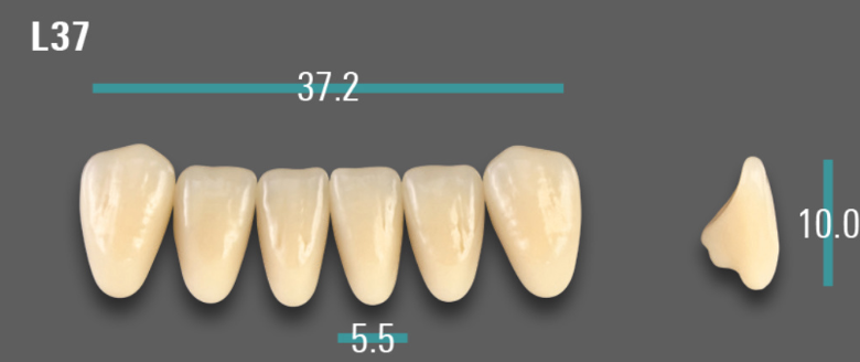 VITA VIONIC VIGO Anterior, A3.5, L37