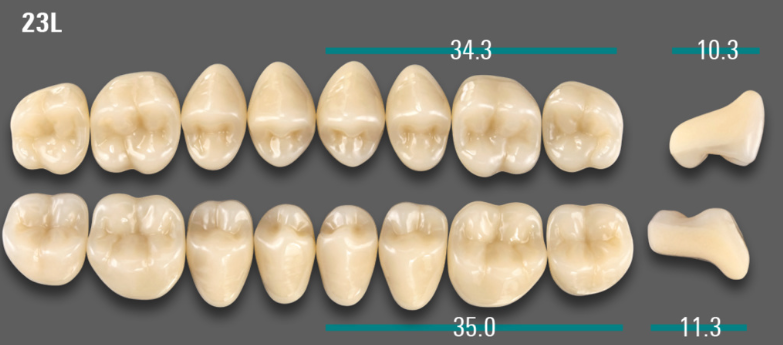 VITA VIONIC VIGO Posterior, A3, 23L UK