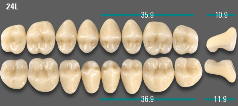 VITA VIONIC VIGO Posterior, A3, 24L OK